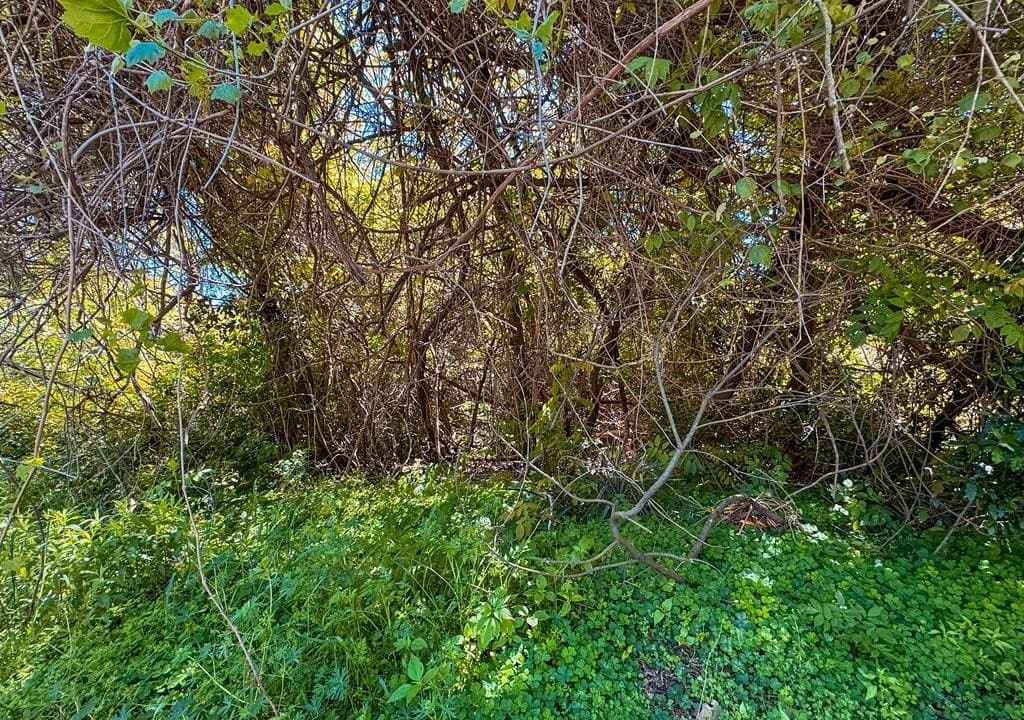 0.11 acres in ANDERSON County - photo 3
