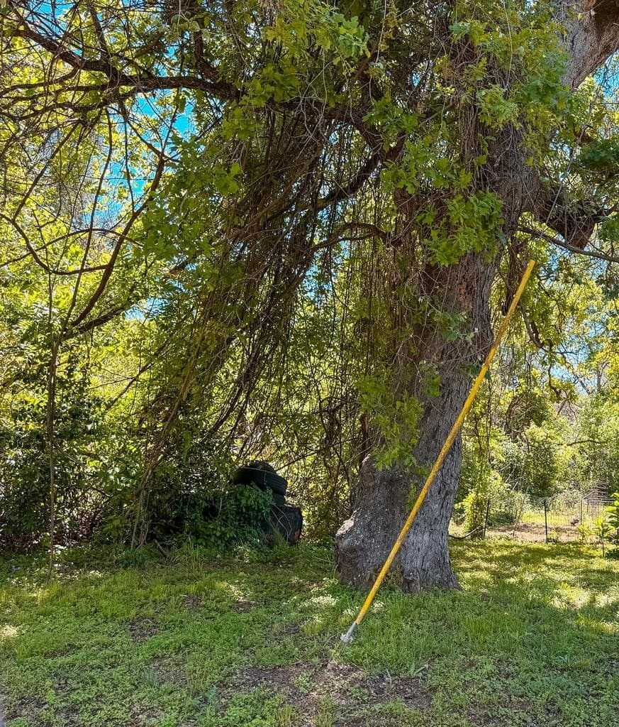 0.11 acres in ANDERSON County - photo 4