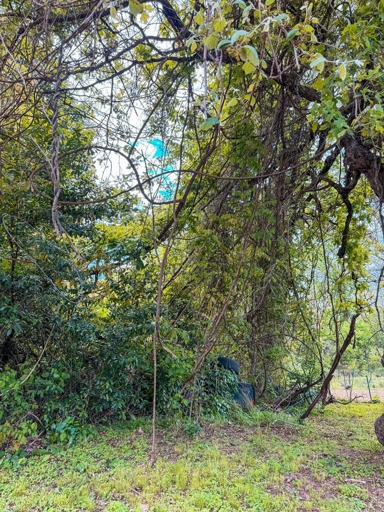 0.11 acres in ANDERSON County - photo 2