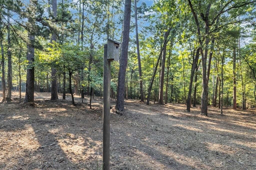 1.19 acres in Smith County - photo 28
