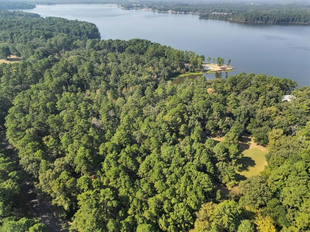 1.19 acres in Smith County - photo 11