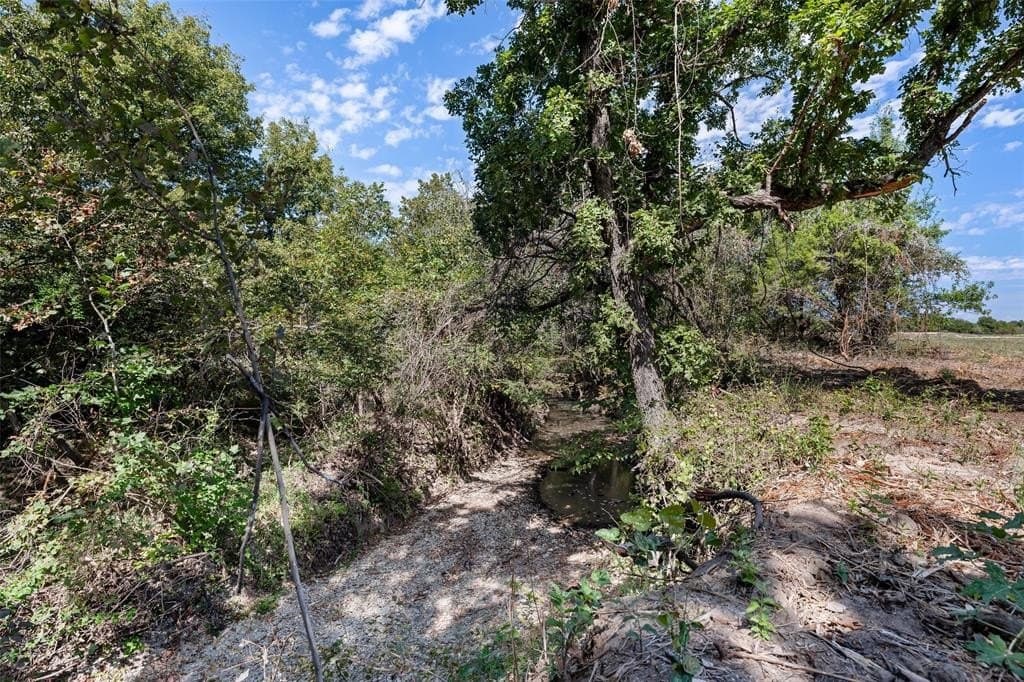 17.4 acres in Hood County - photo 13