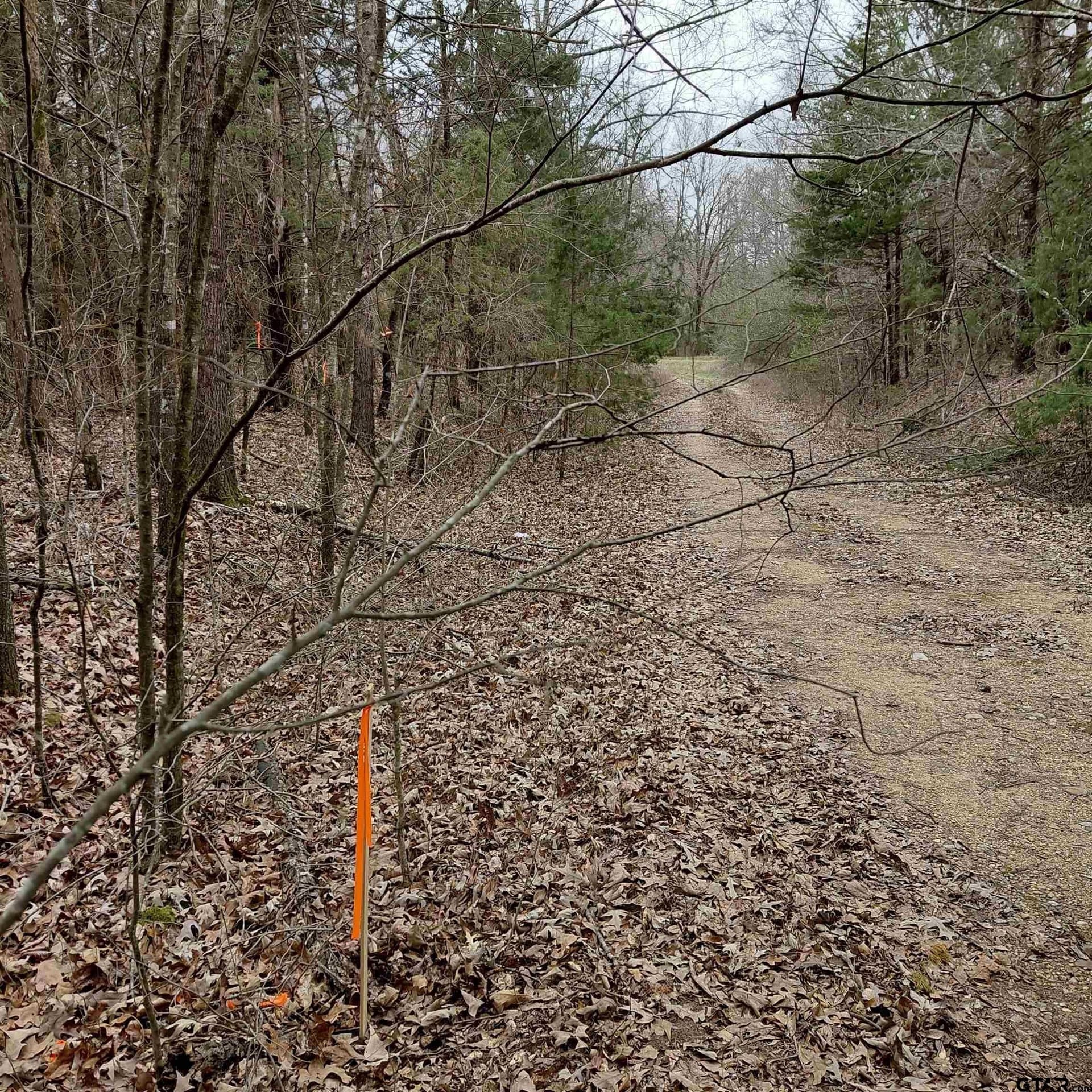 46.6 acres in Bowie County - photo 2