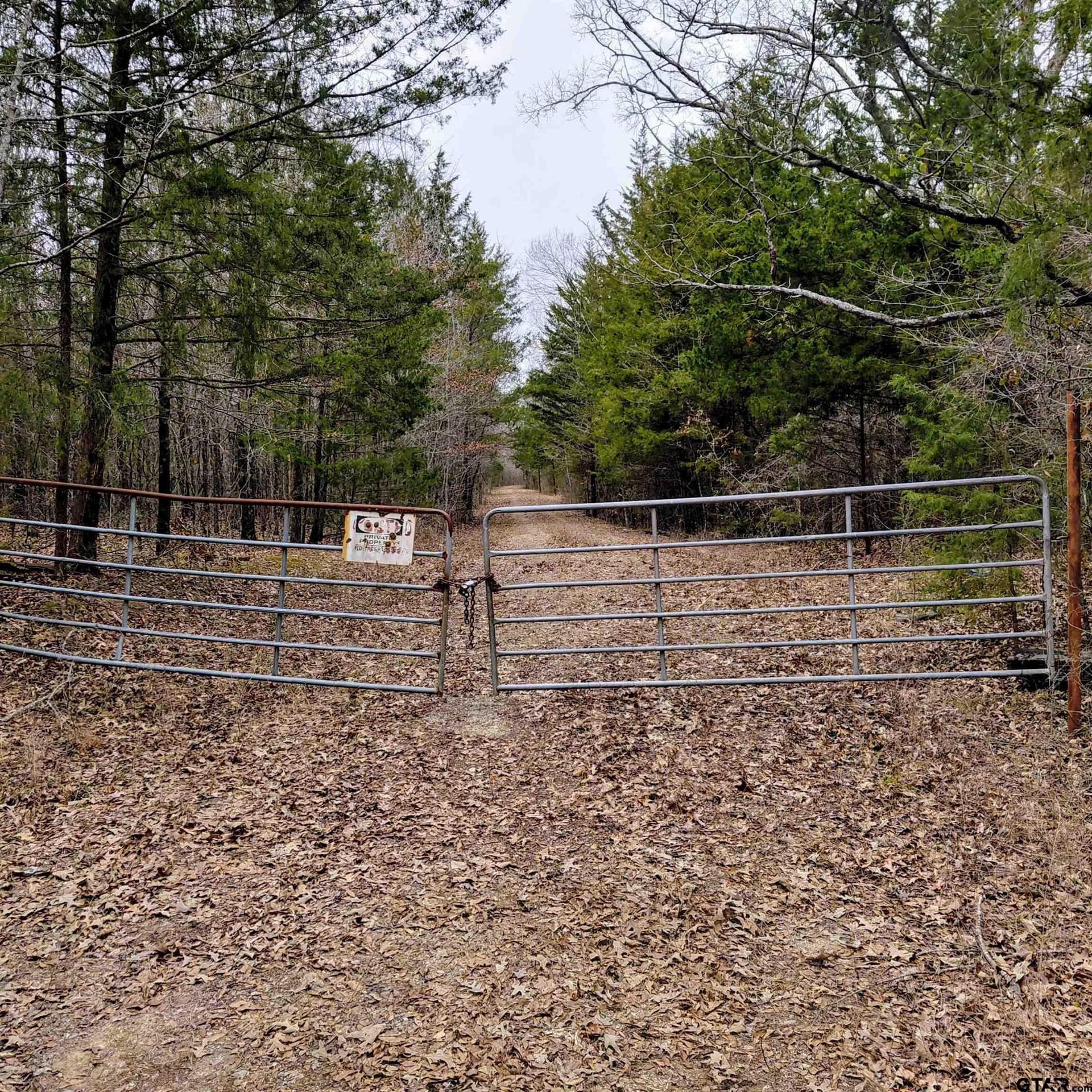46.6 acres in Bowie County - photo 3