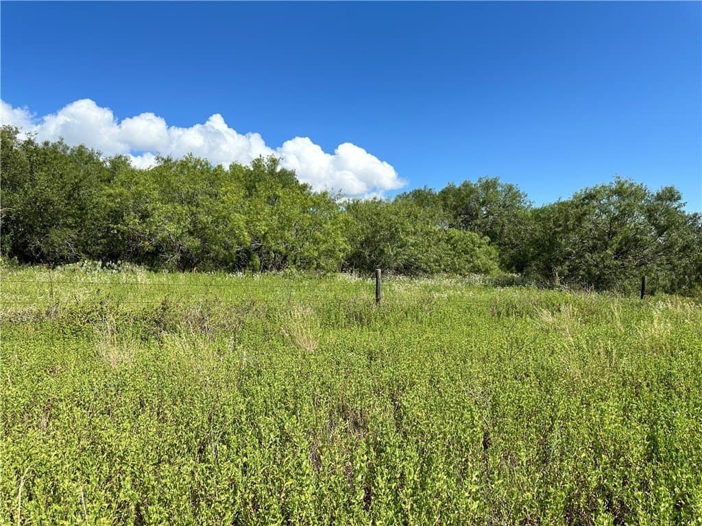 67 acres in Live Oak County - photo 24