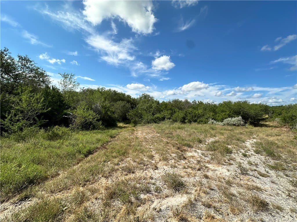 67 acres in Live Oak County - photo 9