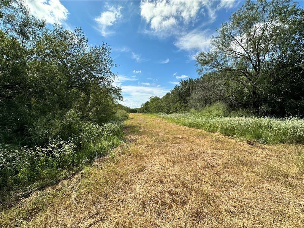 67 acres in Live Oak County - photo 17