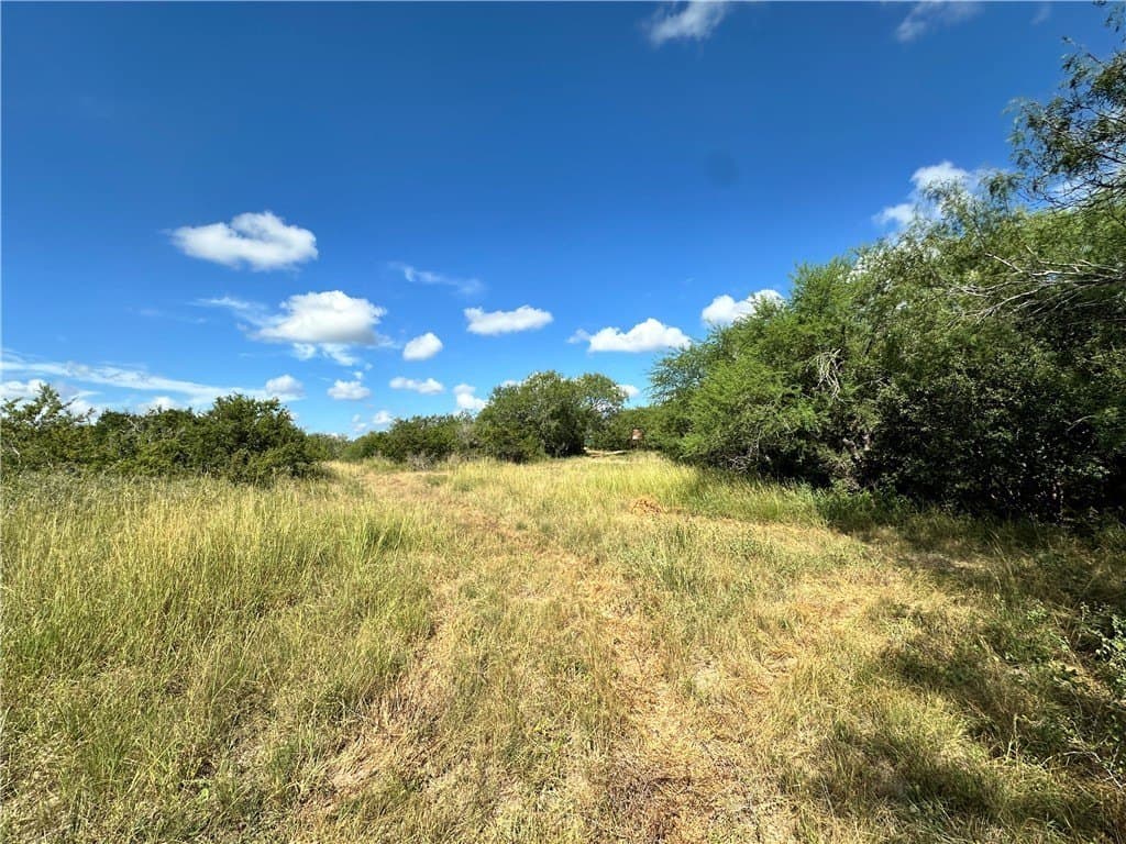 67 acres in Live Oak County - photo 12