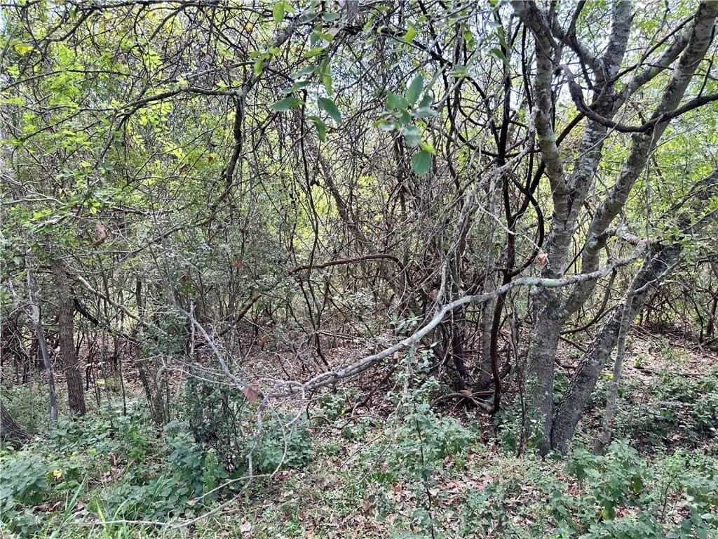 67 acres in Live Oak County - photo 23