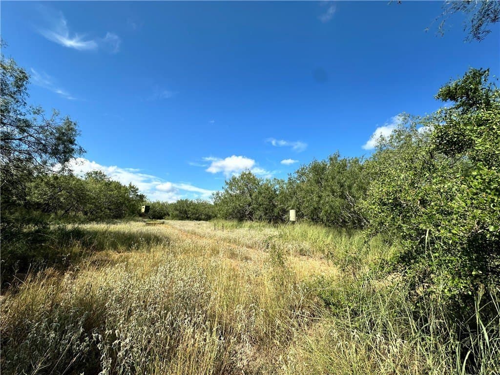 67 acres in Live Oak County - photo 3
