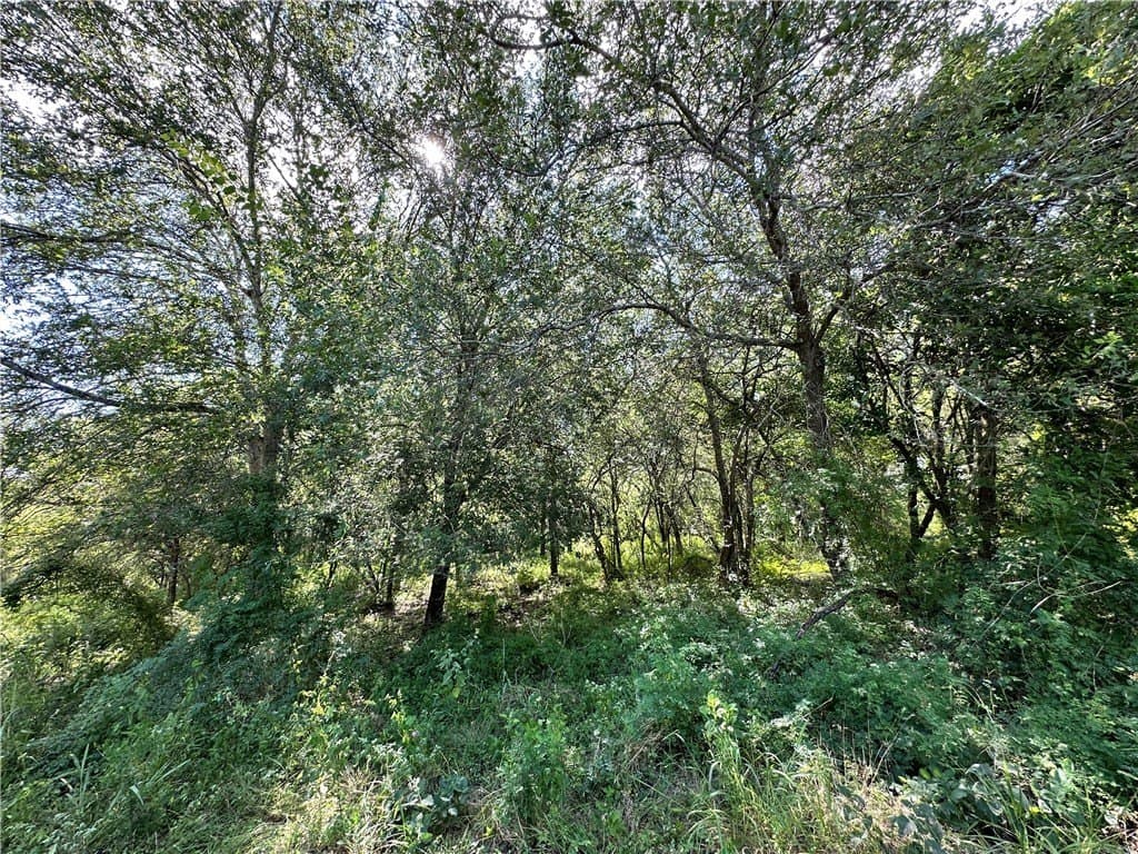 67 acres in Live Oak County - photo 20