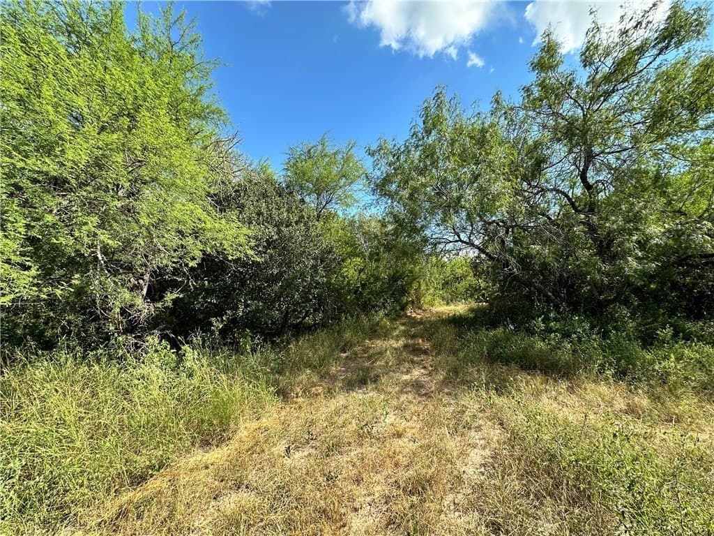 67 acres in Live Oak County - photo 13