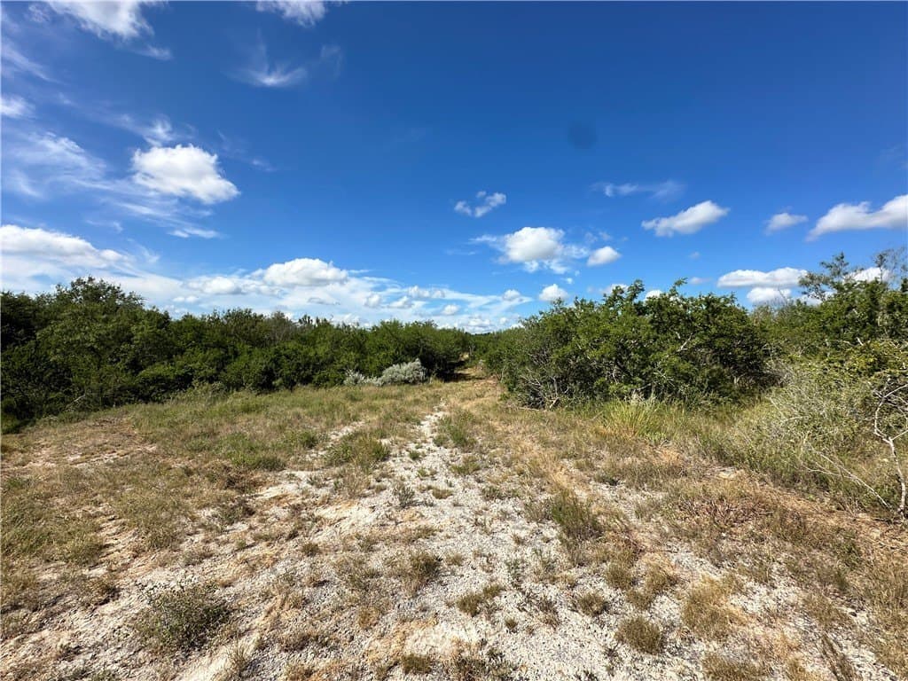 67 acres in Live Oak County - photo 10