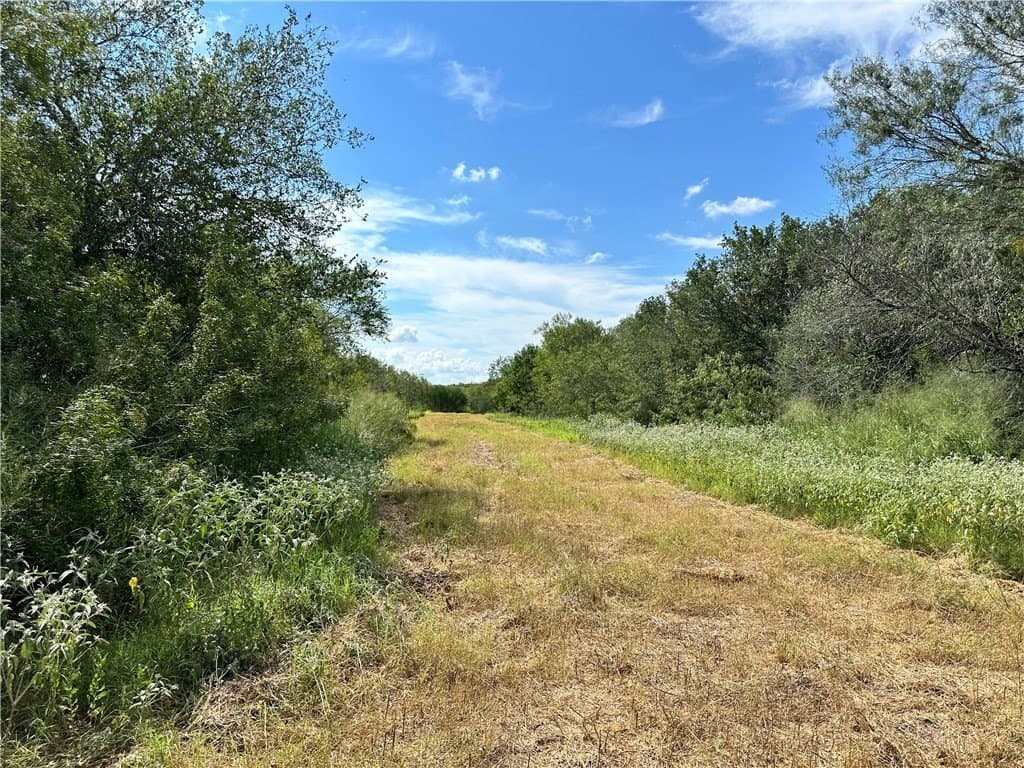 67 acres in Live Oak County - photo 18