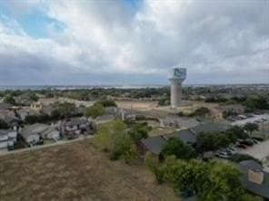 3.49 acres in Dallas County - photo 5