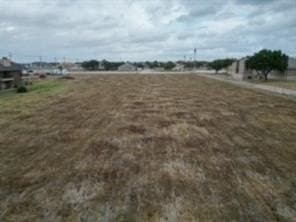 3.49 acres in Dallas County - photo 2