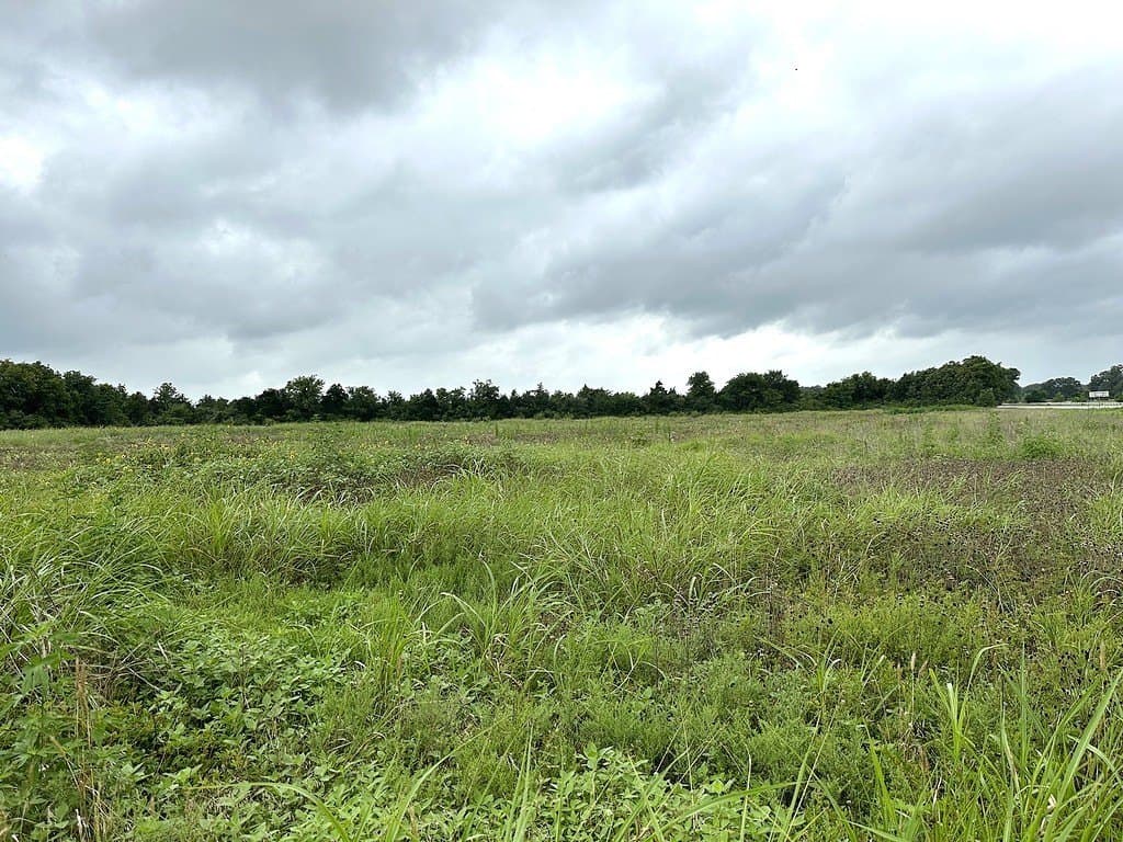 8 acres in Fayette County - photo 5
