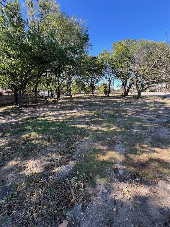 0.38 acres in Dallas County - photo 3