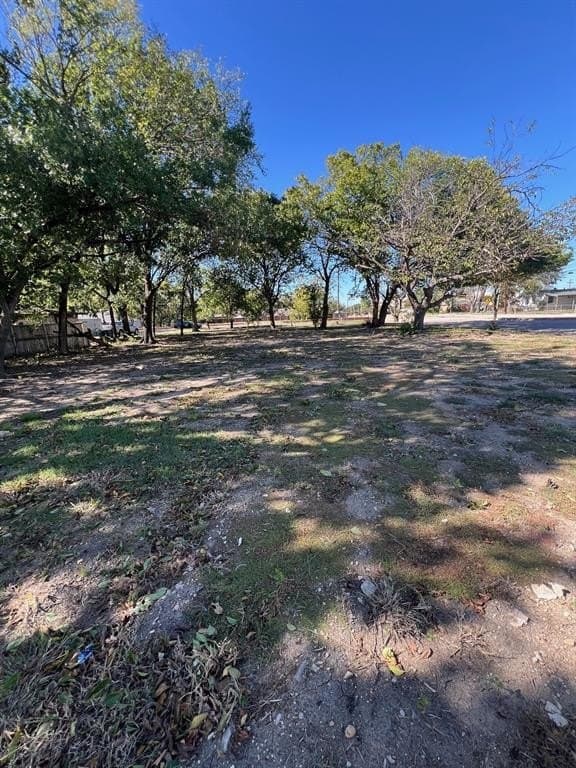 0.38 acres in Dallas County - photo 2