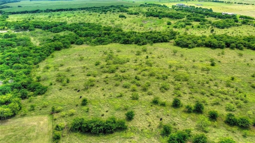 13.85 acres in Grayson County - photo 4