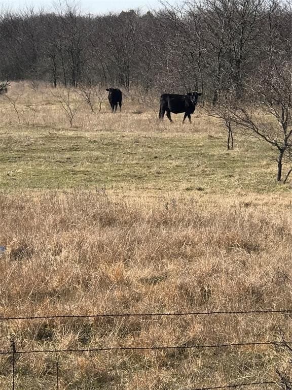 13.85 acres in Grayson County - photo 2
