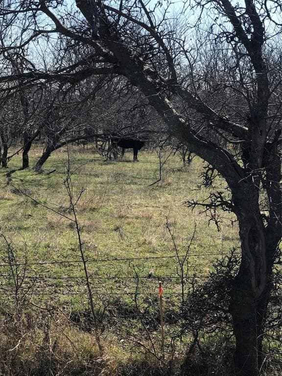 13.85 acres in Grayson County - photo 5