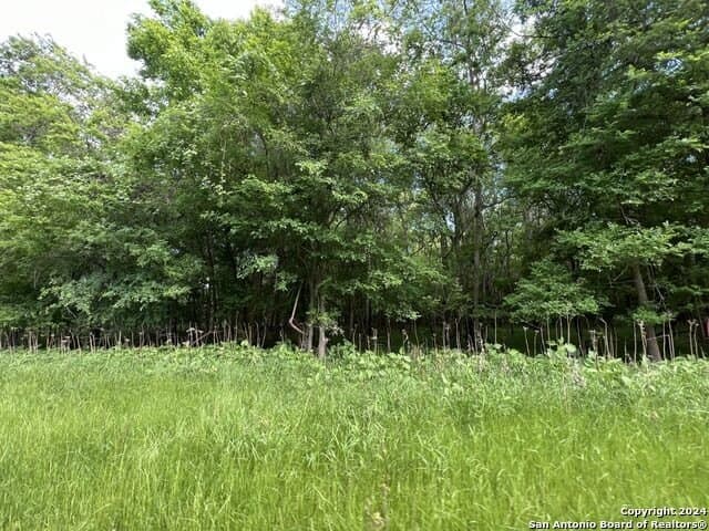 44 acres in Guadalupe County - photo 37