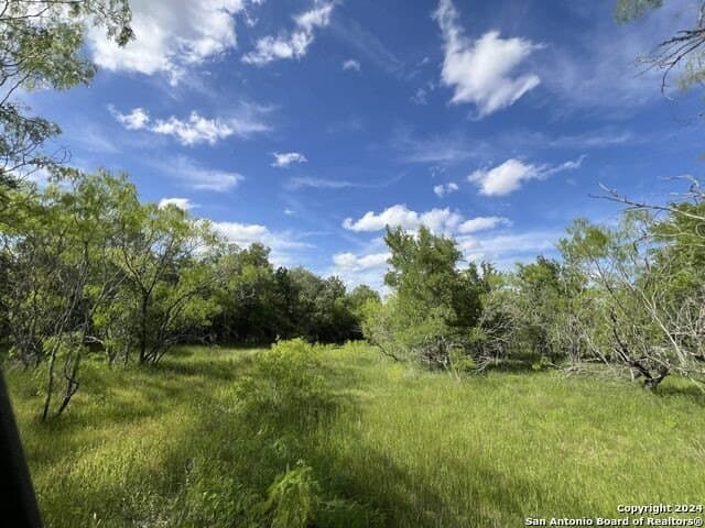 44 acres in Guadalupe County - photo 8
