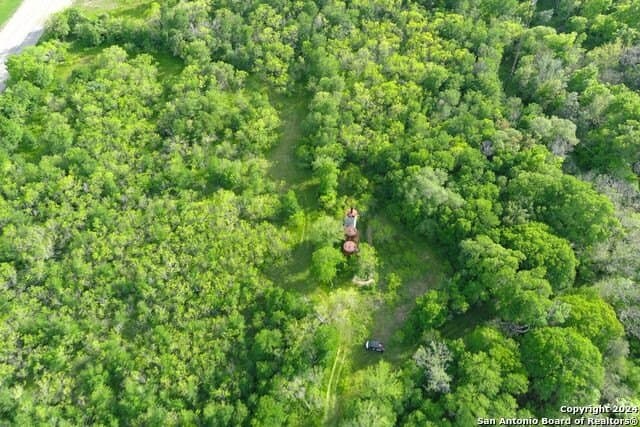 44 acres in Guadalupe County - photo 15