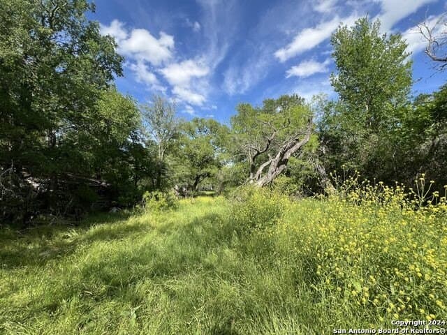 44 acres in Guadalupe County - photo 35