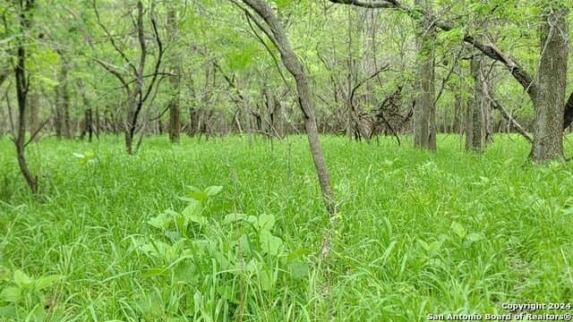 44 acres in Guadalupe County - photo 23