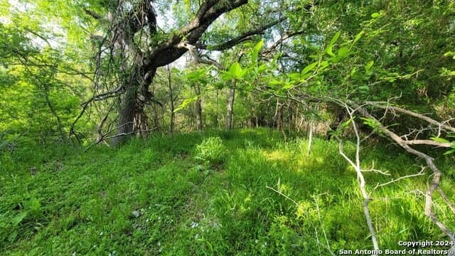 44 acres in Guadalupe County - photo 33