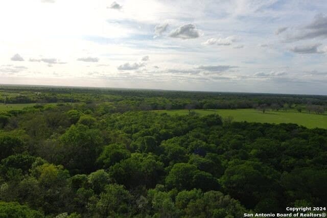 44 acres in Guadalupe County - photo 24