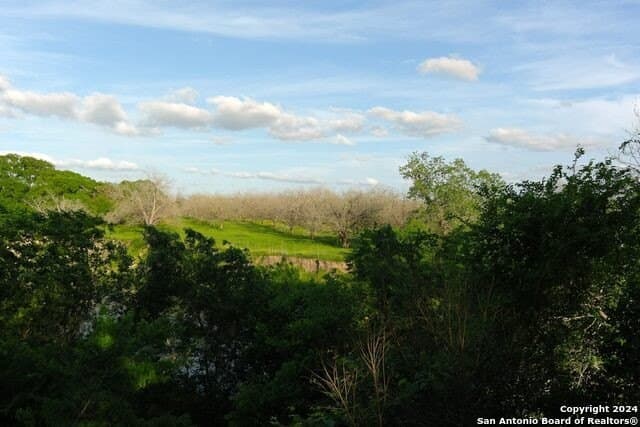 44 acres in Guadalupe County - photo 38