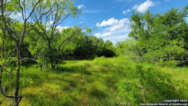 44 acres in Guadalupe County - photo 28