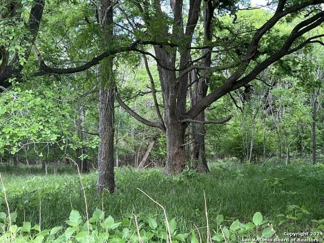 44 acres in Guadalupe County - photo 4
