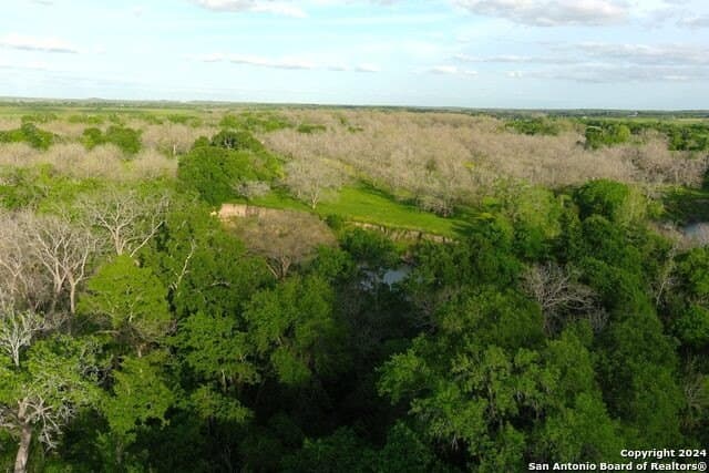 44 acres in Guadalupe County - photo 10