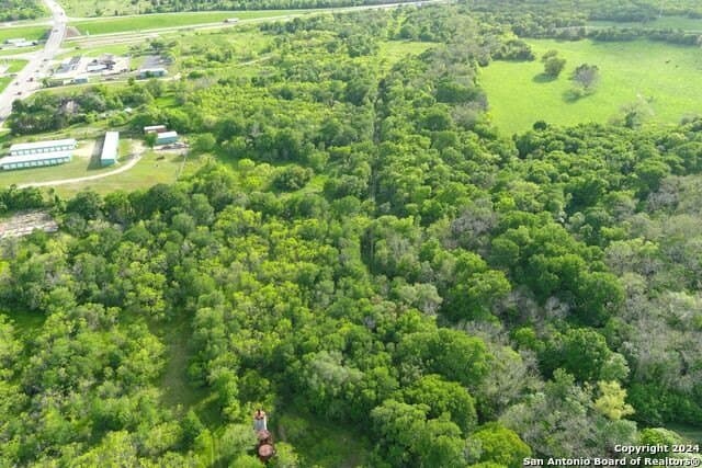 44 acres in Guadalupe County - photo 17