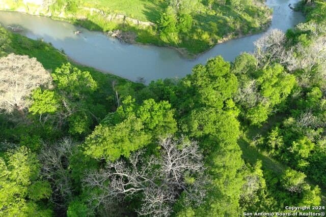 44 acres in Guadalupe County - photo 7