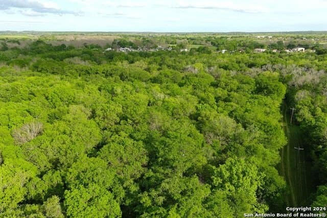 44 acres in Guadalupe County - photo 26