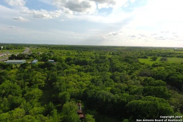 44 acres in Guadalupe County - photo 25