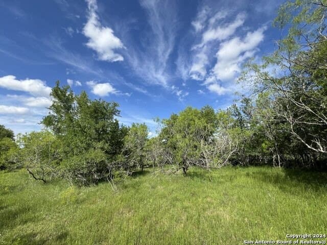 44 acres in Guadalupe County - photo 34