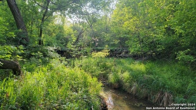 44 acres in Guadalupe County - photo 12