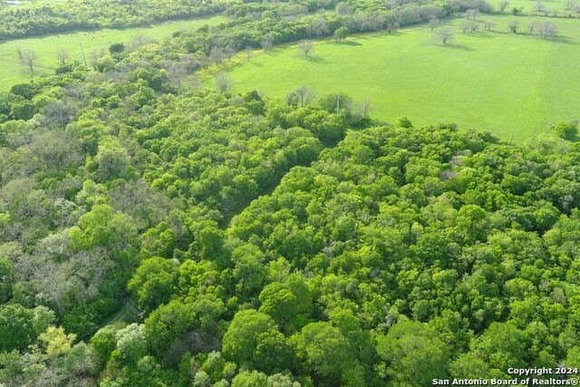 44 acres in Guadalupe County - photo 18