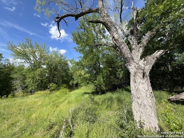 44 acres in Guadalupe County - photo 6