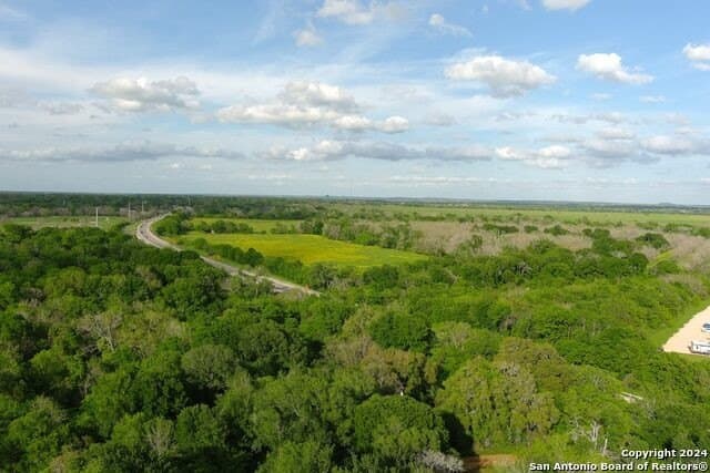 44 acres in Guadalupe County - photo 22