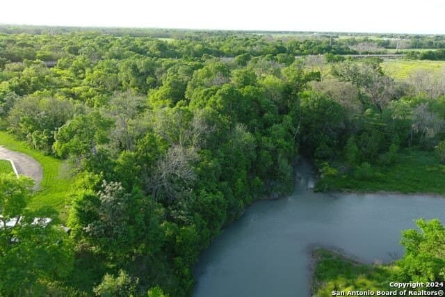 44 acres in Guadalupe County - photo 11