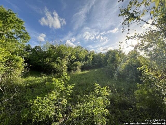 44 acres in Guadalupe County - photo 14