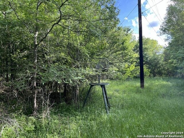 44 acres in Guadalupe County - photo 30