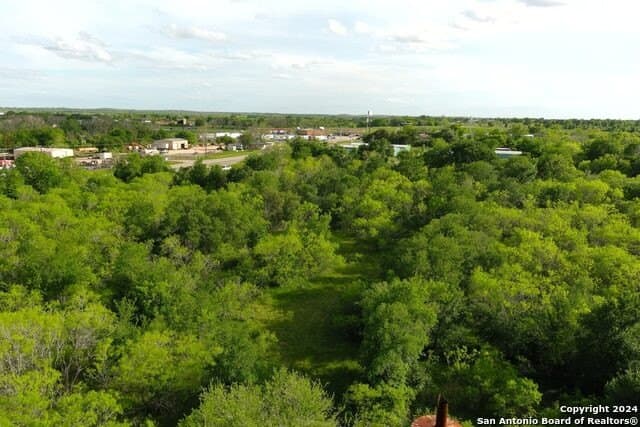 44 acres in Guadalupe County - photo 27